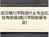 武汉晴川学院读什么专业比较有前景(晴川学院前景专业)