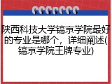陕西科技大学镐京学院最好的专业是哪个，详细阐述(镐京学院王牌专业)
