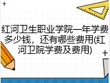 红河卫生职业学院一年学费多少钱，还有哪些费用(红河卫院学费及费用)