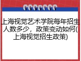 上海视觉艺术学院每年招生人数多少，政策变动如何(上海视觉招生政策)