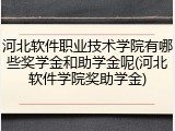 河北软件职业技术学院有哪些奖学金和助学金呢(河北软件学院奖助学金)