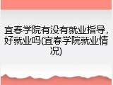 宜春学院有没有就业指导，好就业吗(宜春学院就业情况)