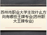 苏州市职业大学主攻什么方向有哪些王牌专业(苏州职大王牌专业)