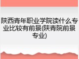 陕西青年职业学院读什么专业比较有前景(陕青院前景专业)