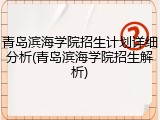 青岛滨海学院招生计划详细分析(青岛滨海学院招生解析)