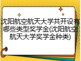 沈阳航空航天大学共开设有哪些类型奖学金(沈阳航空航天大学奖学金种类)
