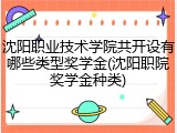 沈阳职业技术学院共开设有哪些类型奖学金(沈阳职院奖学金种类)
