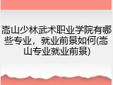 嵩山少林武术职业学院有哪些专业，就业前景如何(嵩山专业就业前景)