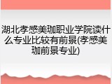 湖北孝感美珈职业学院读什么专业比较有前景(孝感美珈前景专业)