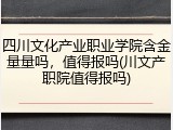四川文化产业职业学院含金量量吗，值得报吗(川文产职院值得报吗)