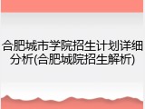 合肥城市学院招生计划详细分析(合肥城院招生解析)