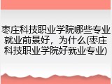 枣庄科技职业学院哪些专业就业前景好，为什么(枣庄科技职业学院好就业专业)