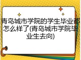 青岛城市学院的学生毕业都怎么样了(青岛城市学院毕业生去向)