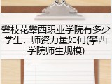 攀枝花攀西职业学院有多少学生，师资力量如何(攀西学院师生规模)