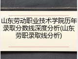 山东劳动职业技术学院历年录取分数线深度分析(山东劳职录取线分析)