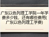 广东以色列理工学院一年学费多少钱，还有哪些费用(广东以色列理工学费)
