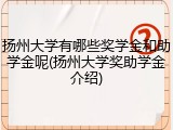 扬州大学有哪些奖学金和助学金呢(扬州大学奖助学金介绍)