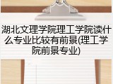 湖北文理学院理工学院读什么专业比较有前景(理工学院前景专业)