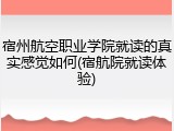 宿州航空职业学院就读的真实感觉如何(宿航院就读体验)