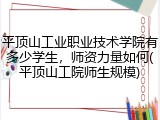 平顶山工业职业技术学院有多少学生，师资力量如何(平顶山工院师生规模)