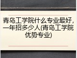 青岛工学院什么专业最好，一年招多少人(青岛工学院优势专业)