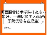 闽西职业技术学院什么专业最好，一年招多少人(闽西职院优势专业招生)