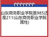 山东商务职业学院是985还是211(山东商务职业学院属性)