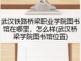 武汉铁路桥梁职业学院图书馆在哪里,怎么样(武汉桥梁学院图书馆位置)