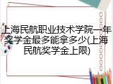 上海民航职业技术学院一年奖学金最多能拿多少(上海民航奖学金上限)