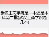 武汉工商学院是一本还是本科第二批(武汉工商学院是几本)