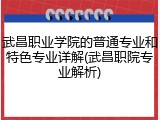 武昌职业学院的普通专业和特色专业详解(武昌职院专业解析)