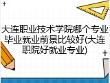 大连职业技术学院哪个专业毕业就业前景比较好(大连职院好就业专业)
