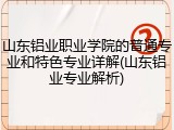 山东铝业职业学院的普通专业和特色专业详解(山东铝业专业解析)