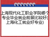 上海现代化工职业学院哪个专业毕业就业前景比较好(上海化工就业好专业)
