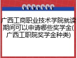 广西工商职业技术学院就读期间可以申请哪些奖学金(广西工职院奖学金种类)