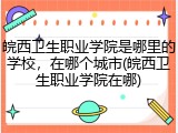 皖西卫生职业学院是哪里的学校，在哪个城市(皖西卫生职业学院在哪)
