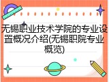 无锡职业技术学院的专业设置概况介绍(无锡职院专业概览)