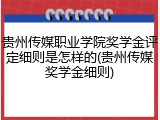 贵州传媒职业学院奖学金评定细则是怎样的(贵州传媒奖学金细则)