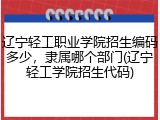辽宁轻工职业学院招生编码多少,隶属哪个部门(辽宁轻工学院招生代码)