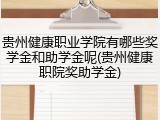贵州健康职业学院有哪些奖学金和助学金呢(贵州健康职院奖助学金)