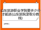 山东旅游职业学院要多少分才能进(山东旅院录取分数线)