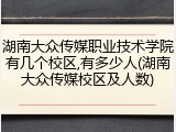 湖南大众传媒职业技术学院有几个校区,有多少人(湖南大众传媒校区及人数)