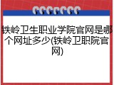 铁岭卫生职业学院官网是哪个网址多少(铁岭卫职院官网)