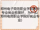 郑州电子商务职业学院哪些专业就业前景好，为什么(郑州电商职业学院好就业专业)
