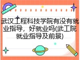 武汉工程科技学院有没有就业指导，好就业吗(武工院就业指导及前景)
