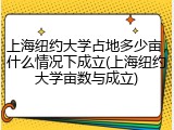 上海纽约大学占地多少亩，什么情况下成立(上海纽约大学亩数与成立)