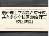 烟台理工学院是否有分校，共有多少个校区(烟台理工校区数量)