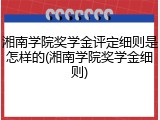 湘南学院奖学金评定细则是怎样的(湘南学院奖学金细则)