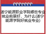 遂宁能源职业学院哪些专业就业前景好，为什么(遂宁能源学院好就业专业)