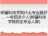 新疆科技学院什么专业最好，一年招多少人(新疆科技学院招生专业人数)